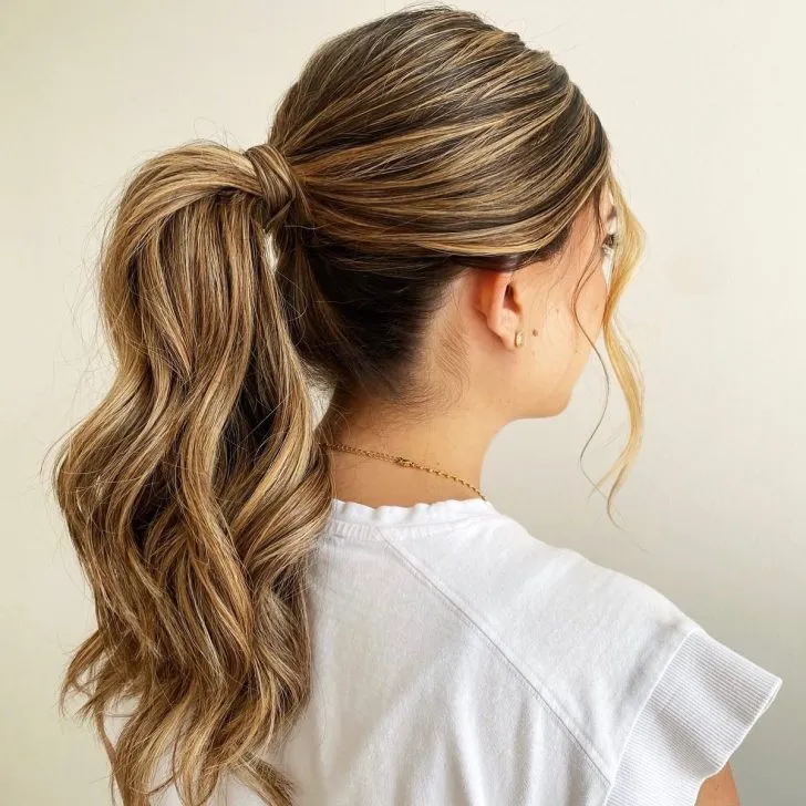  Ponytail Hairstyles