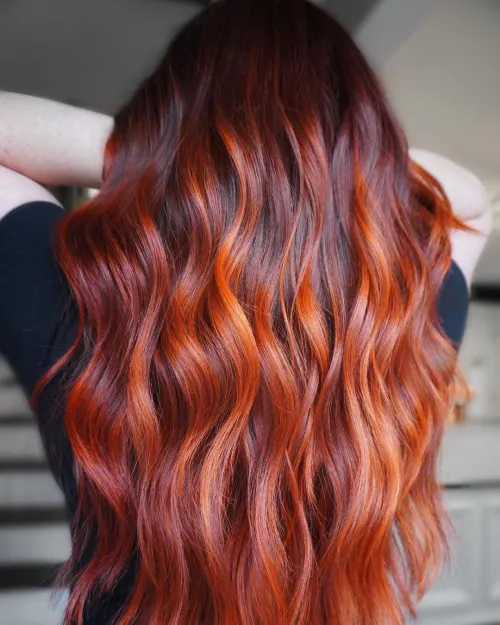 Dark red hair Inspo